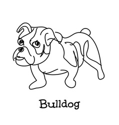 Line art french bulldog Royalty Free Vector Image