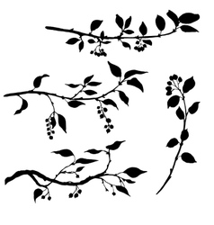 Tree silhouette collection Royalty Free Vector Image