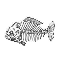 Piranha fish cartoon Royalty Free Vector Image