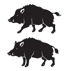 Wild boar Royalty Free Vector Image - VectorStock