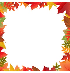 Border frame of colorful autumn leaves Royalty Free Vector