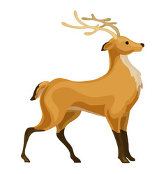 Cute deer cartoon running Royalty Free Vector Image