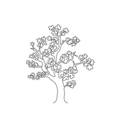 Cherry Blossom Tree Line Drawing Vector Images Over 270