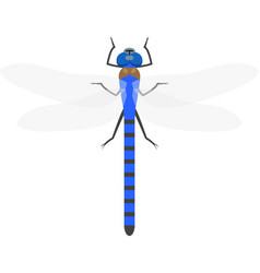 Dragonfly Vector Images (over 12,000)