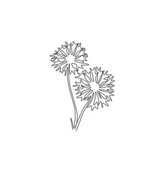 Cornflower Vector Images (over 3,000)