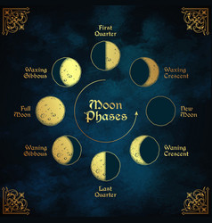 Antique style moon phases isolated Royalty Free Vector Image