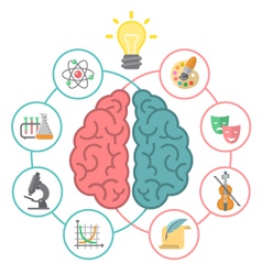 Human brain concept logic and creative Royalty Free Vector
