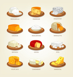 Roquefort and parmesan mimolette and gouda feta Vector Image