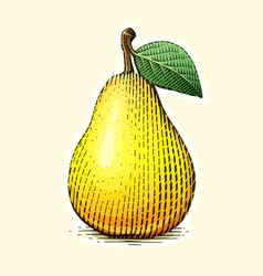 Juicy ripe pear Royalty Free Vector Image - VectorStock