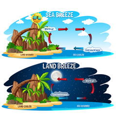 Diagram showing circulation land breeze Royalty Free Vector