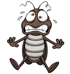 Cockroach dead Royalty Free Vector Image - VectorStock