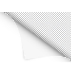 Empty paper sheet Royalty Free Vector Image - VectorStock