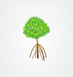 Mangrove tree with roots and green leaves Vector Image