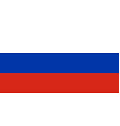 Russia national flag is isolated in official Vector Image