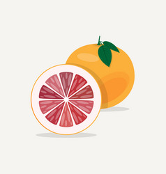 Grapefruit slice Royalty Free Vector Image - VectorStock