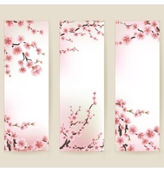 Cherry blossom realistic sakura japan Royalty Free Vector