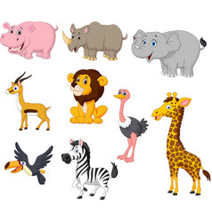 Wild animal cartoon Royalty Free Vector Image - VectorStock