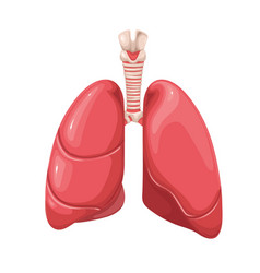 Asthma concept with cartoon lungs Royalty Free Vector Image