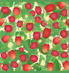Fresh red strawberry seamless background Vector Image