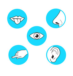 Five senses methods of perception taste vision Vector Image