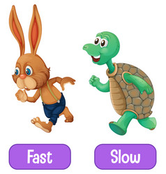 Opposite adjectives words with fast and slow Vector Image