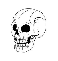 Skeleton of the human head vintage bone Royalty Free Vector