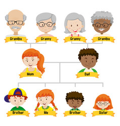 Diagram showing three generation family tree Vector Image