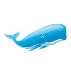 Cartoon Whale Royalty Free Vector Image - VectorStock