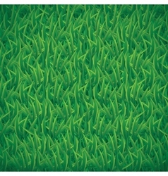 Green grass background Royalty Free Vector Image