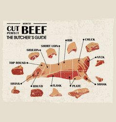 Poster With Detailed Diagram Cutting Cows Vector Image