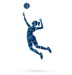 Volleyball sport action cartoon graphic Royalty Free Vector