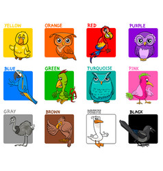 Basic colors educational page with birds Vector Image
