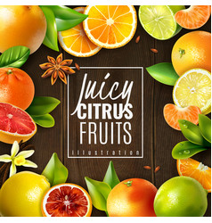 Citrus fruits mix realistic background poster Vector Image