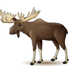 Moose cartoon Royalty Free Vector Image - VectorStock