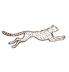 Cheetah running sketch Royalty Free Vector Image