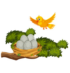 Bird Nest Clipart Vector Images (over 500)