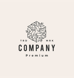 Leaf box cube cardboard logo Royalty Free Vector Image