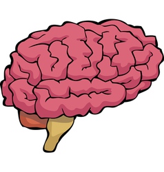 Functional areas human brain diagram Royalty Free Vector