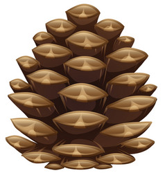 Pinecone Vector Images (over 3,900)