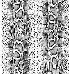 Snake skin texture lines and spots structural Vector Image