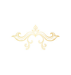 Golden isolated headpiece floral decoration Vector Image