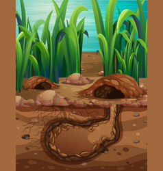 Empty underground animal hole Royalty Free Vector Image