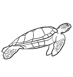 Single continuous line drawing big turtle Vector Image