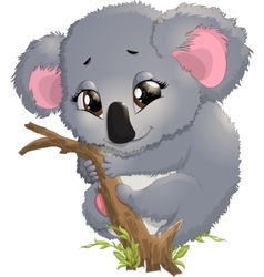 Pretty funny koala Royalty Free Vector Image - VectorStock