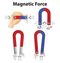 Four types of magnets Royalty Free Vector Image