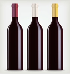 Funky wine bottles Royalty Free Vector Image - VectorStock