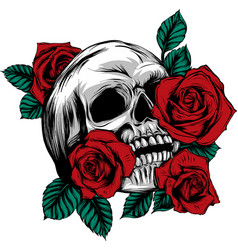 A human skulls with roses on white background Vector Image