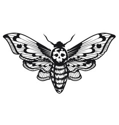 Skull with moth Royalty Free Vector Image - VectorStock