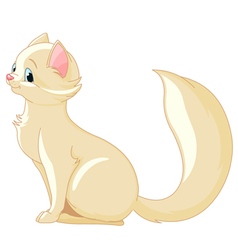 White Kitten Royalty Free Vector Image - VectorStock