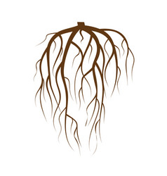 Tree underground roots plant underground Vector Image